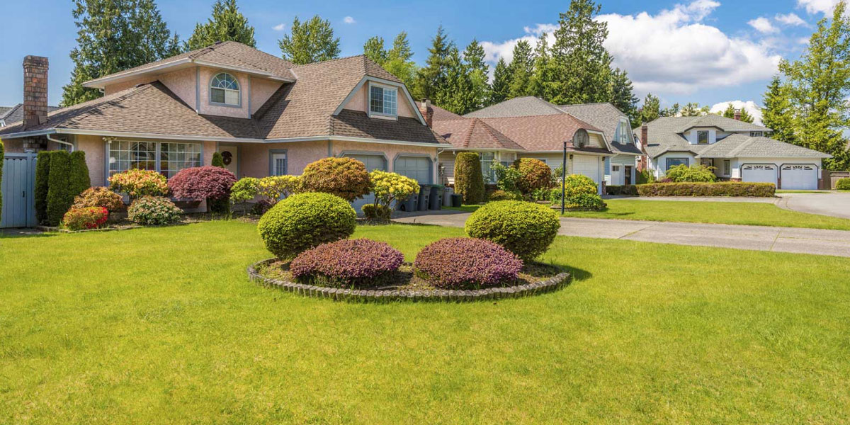 front yard landscaping