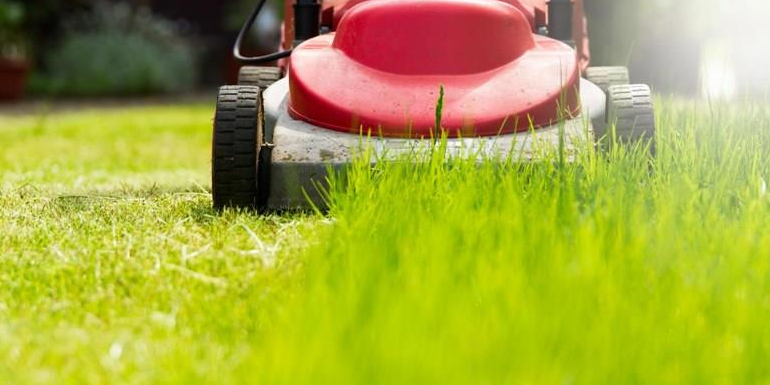 landscaping services