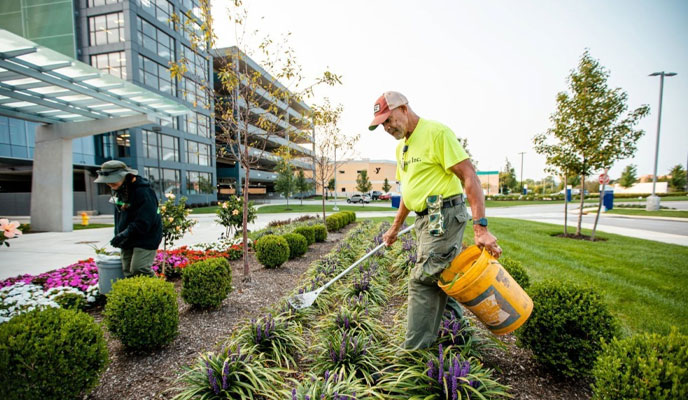 Plant Installation Services in Williamsburg, Virginia