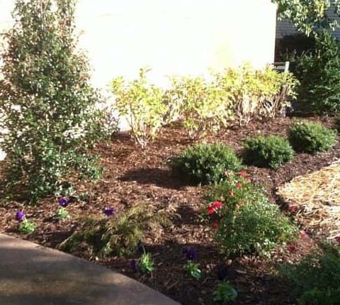  landscaping companies near me