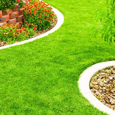 Hardscape edging (stone, brick, concrete borders)