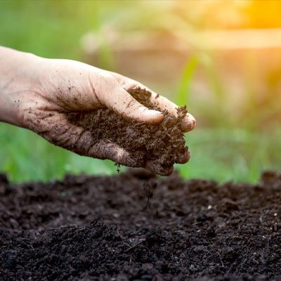 Organic lawn care