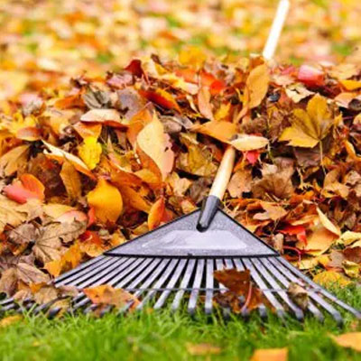 Seasonal cleanup (spring & fall)